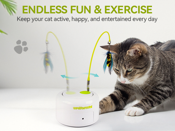 3243 cat toy