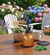 Amolliar Glass Plant Mister Spray Bottle, Vintage Refillable Leak Proof Watering Can for Indoor P...