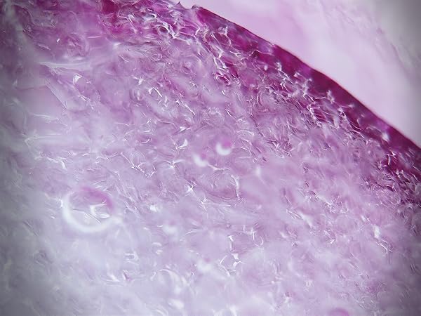 300X Phone Microscope Lens