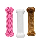 Nylabone Puppy Chew Variety Toy & Treat Triple Pack 3 count Small/Regular - Up to 25 Ibs., Pink