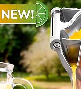 pomegranate juice handheld blender mini juice, small juicer lemon squeezer stainless steel fresh
