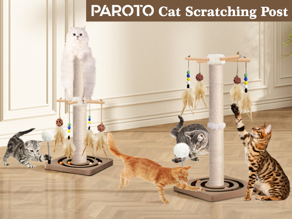 Cat Scratching Post