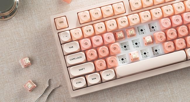 hot swappable mechanical keyboard