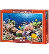 CASTORLAND 1000 Piece Jigsaw Puzzle, Coral Reef Fishes, Sealife, Ocean