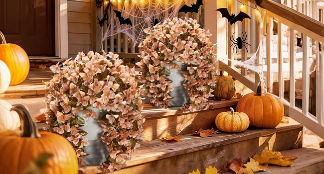 Fall Flowers for Outdoor Planters