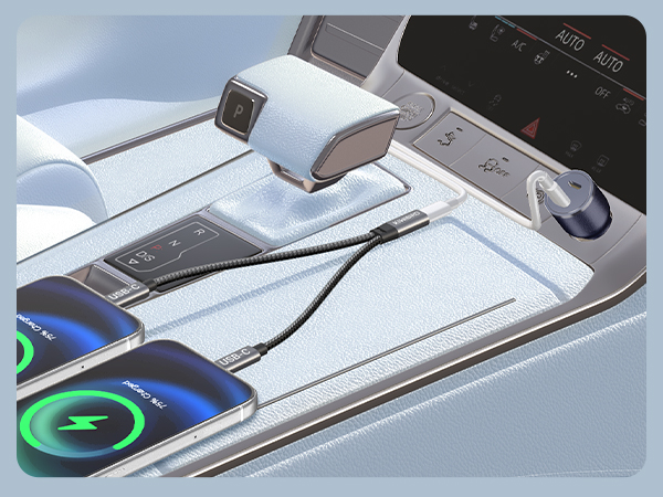 USB C Splitter 1 Female to 2 Male