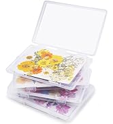 Aboofx 4PCS Dried Flower Storage Set with Blotting Paper, Ziplock Bag and Desiccant, Flower Prese...
