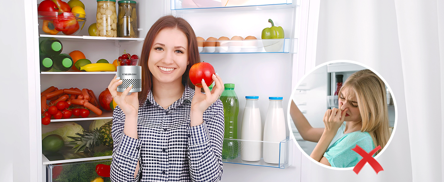refrigerator odor eliminator