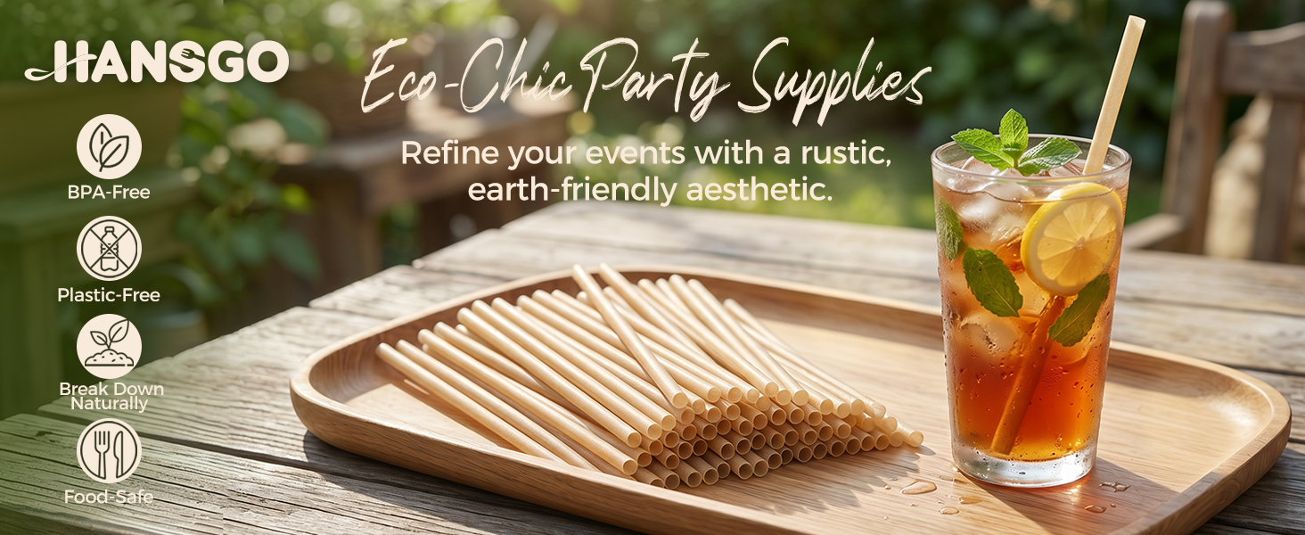 100PCS Sugarcane Straws