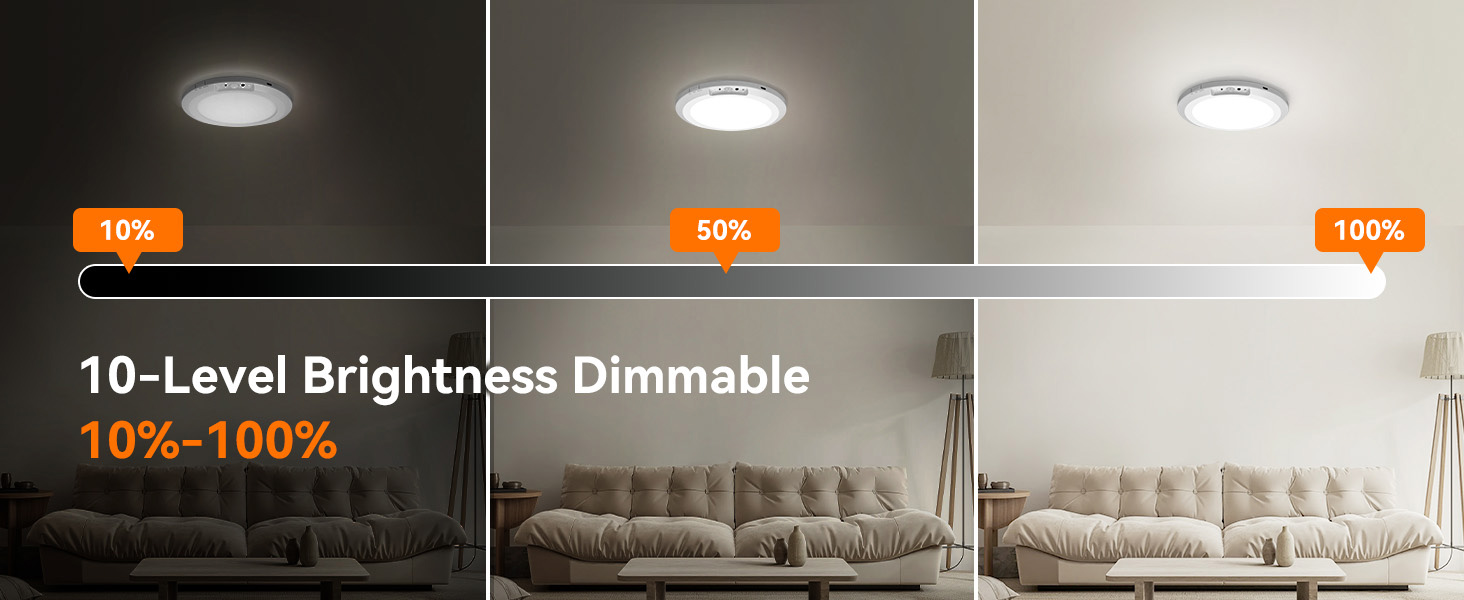Motion Sensor Ceiling Light