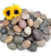 NUPICK 6lb Mexican Beach Pebbles, 2-3" Large River Rocks for Landscaping, Smooth Garden Rocks for...