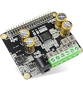 innomaker Audio Amplifier for Raspberry Pi 2x40W Class D HiFi AMP Pro Hat Featuring 48KHz/24bit M...