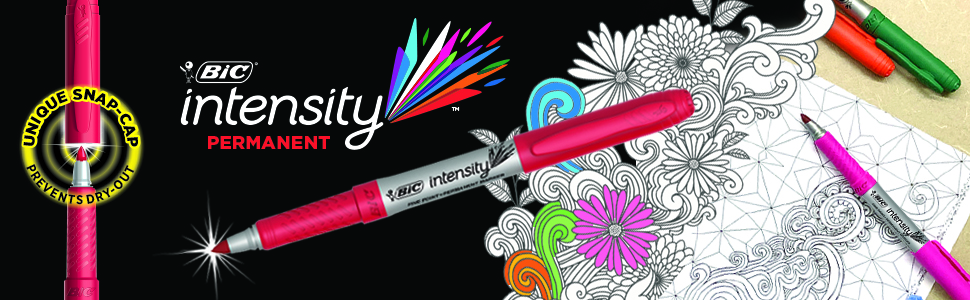 bic intensity permanent marker banner