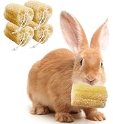 Apatal 4 Pcs Rabbit Chew Toys Natural Bunny Loofah Chew Toy Chinchilla Teeth Grinding Toys Guinea...