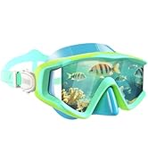 Aegend Diving Mask for Adult & Teen - Panoramic Anti-Fog Comfort Fit Goggles with Mesh Bag for Sn...