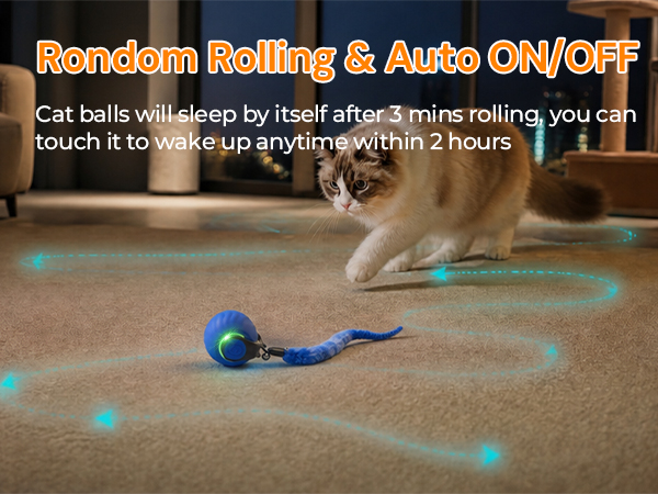 cat ball toys