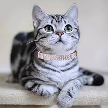 rhinestone cat collar bling diamond