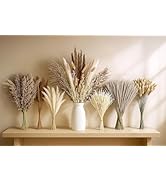 JOHOUSE 450PCS Natural Dried Pampas Grass Decor, Boho Wedding Pampas Grass Bunny Tails Dried Plan...