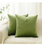 Q&J FABRIC CO. 2 Pack Velvet Decorative Throw Pillow Covers,Soft Square Cushion Case Solid Modern...