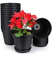 homenote Pots for Plants, 15 Pack 6 inch Plastic Planters with Multiple Drainage Holes and Tray -...