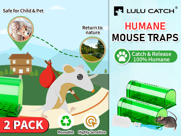 Mouse Humane Mouse Traps No Kill Live Catch and Release