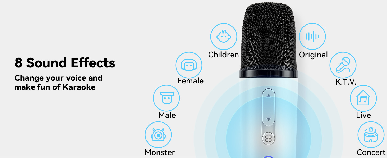 tesla car karaoke microphone for model y