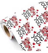 WRAPAHOLIC Valentines Day Wrapping Paper Kids - Mini Roll - 17 Inch x 16.5 Feet - I Dig You and R...