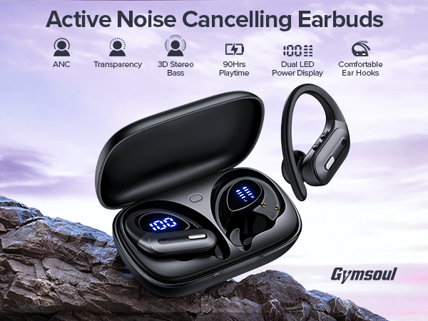 Active Noise Cancelling Earbuds
