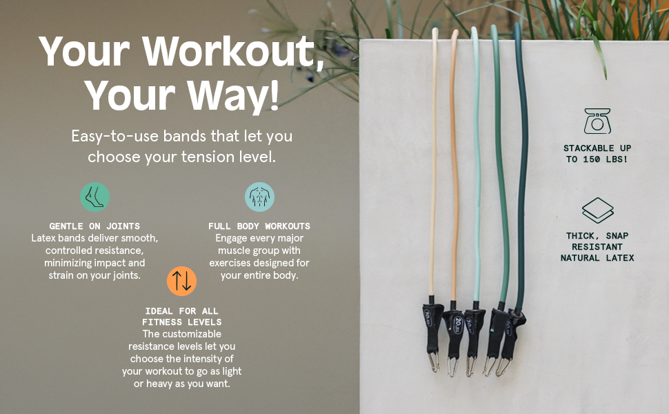 Retrospec Train Resistance Band Set for At Home Workouts