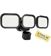 Motion Sensor Outdoor Flood Light