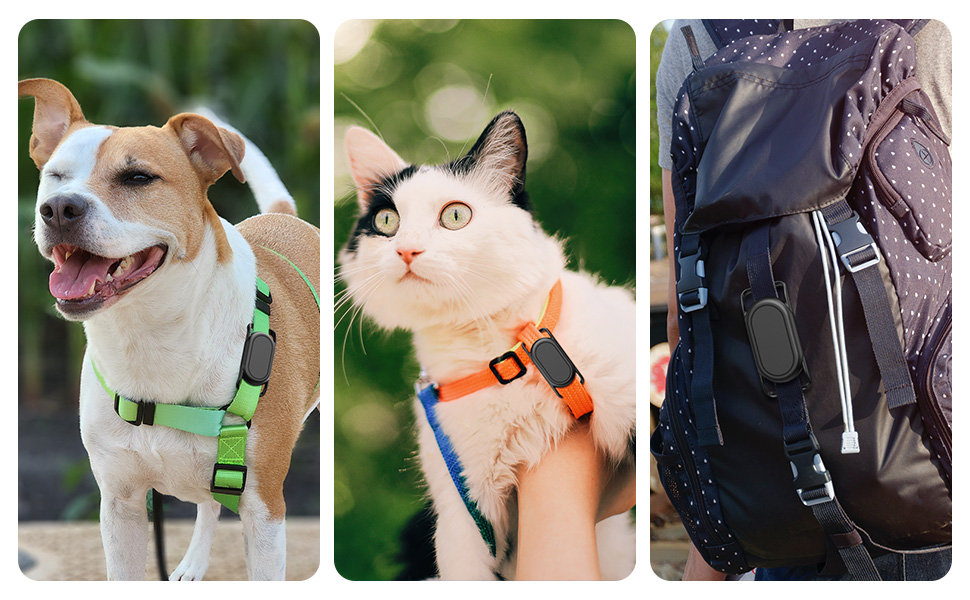 Comfortable skin-friendly material and fixing ring can be stretched to fit pet collars