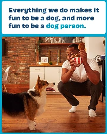 Everything we do makes it fun to be a dog, and more fun to be a dog person.