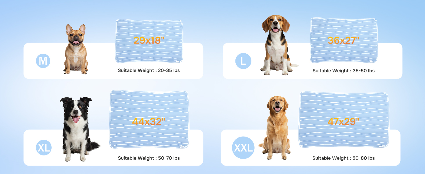 Cool Bed for Dogs