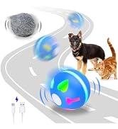 AUKL Interactive Dog Toys Wicked Ball Self Moving Motion Activated Ball