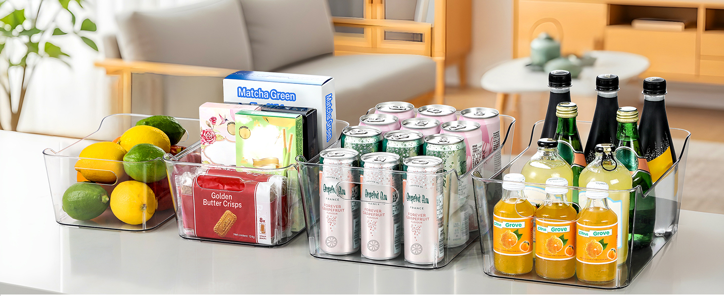 Clear Bins Organizer