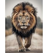 Bowetile 5D Diamond Art Lion Kits for Adults Beginners, Animals Diamond Painting Lion Kits, DIY F...