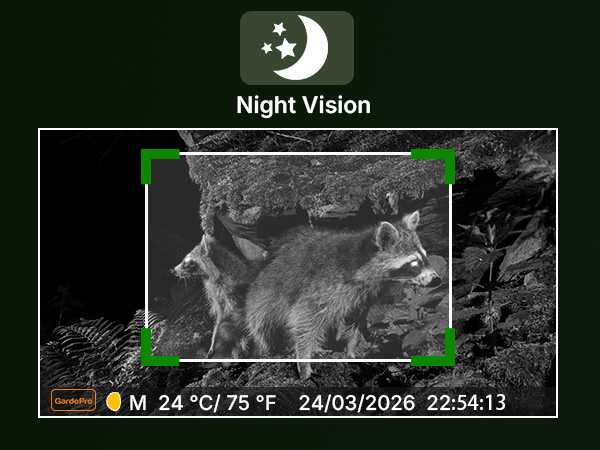 night vision