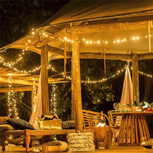 outdoor Christmas led lights