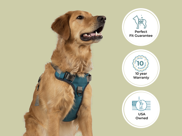 Adventure Harness