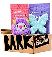 Super Chewer by BarkBox Monthly Subscription Box
