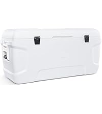 https://m.media-amazon.com/images/S/aplus-media-library-service-media/72232545-dea4-42a5-b0ef-a3d2f25a2ceb.__AC_SR200,225___.jpg