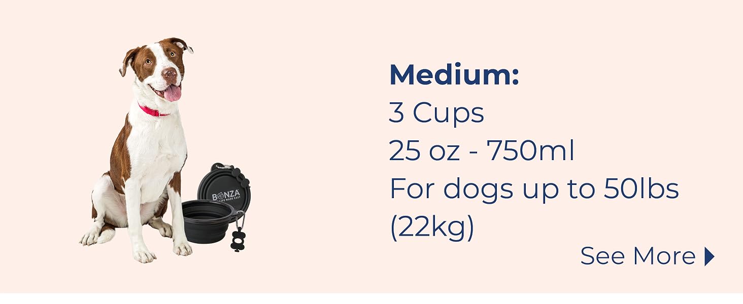 Collapsible Dog Bowl