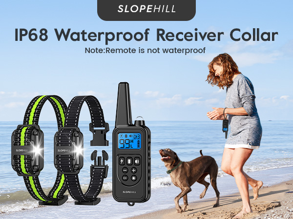 shock collar for dogs
