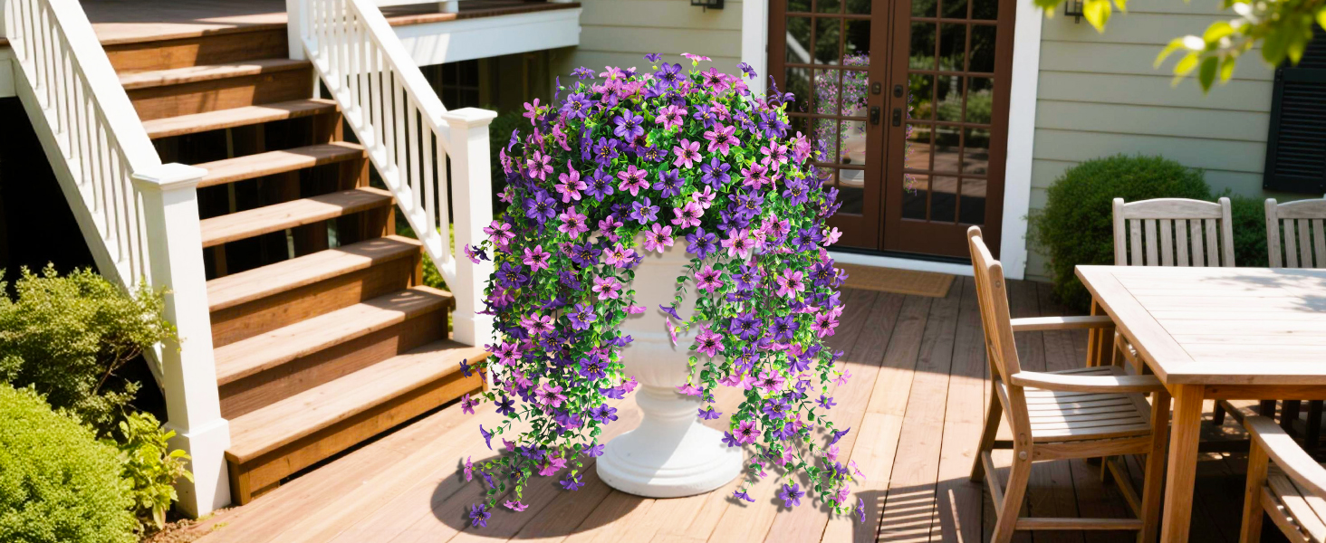hanging plants
