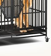 dog kennel indoor