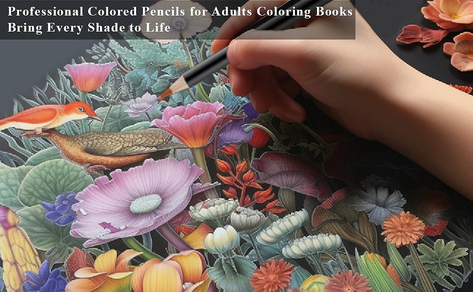 coloring pencils for adults coloring books