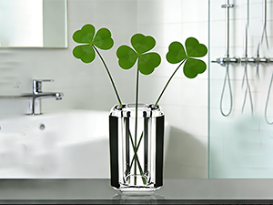 Acrylic Bathroom Accessories