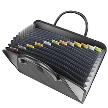 Expanding File with Carrying Handles