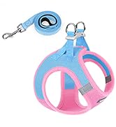 blue pink dog harness
