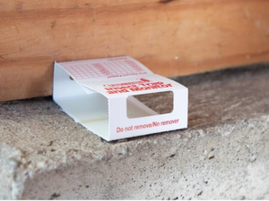 heavy duty spider glue trap
